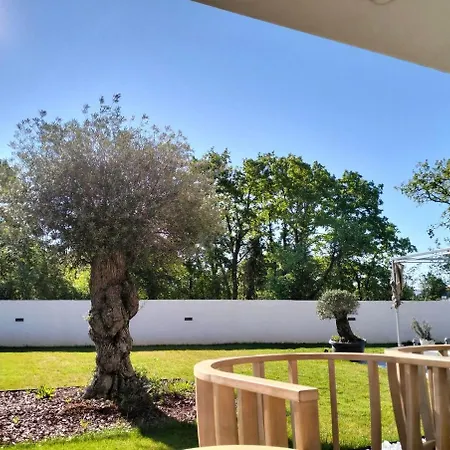 Casa Del Sol Istria By Istrialux Villa Jursici